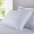 Down & Feather Pillows