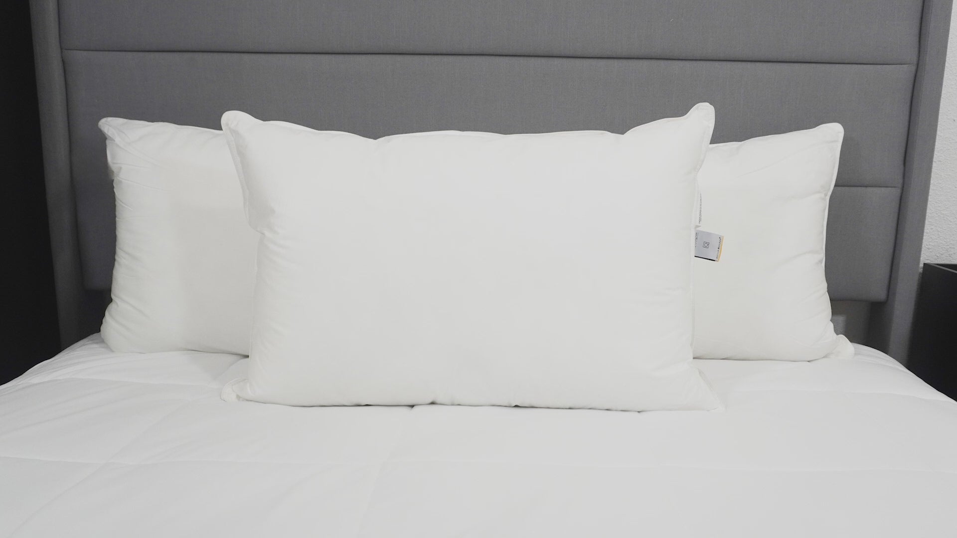 Envirosleep Dream Memories Memorelle Fiber Fill Pillow