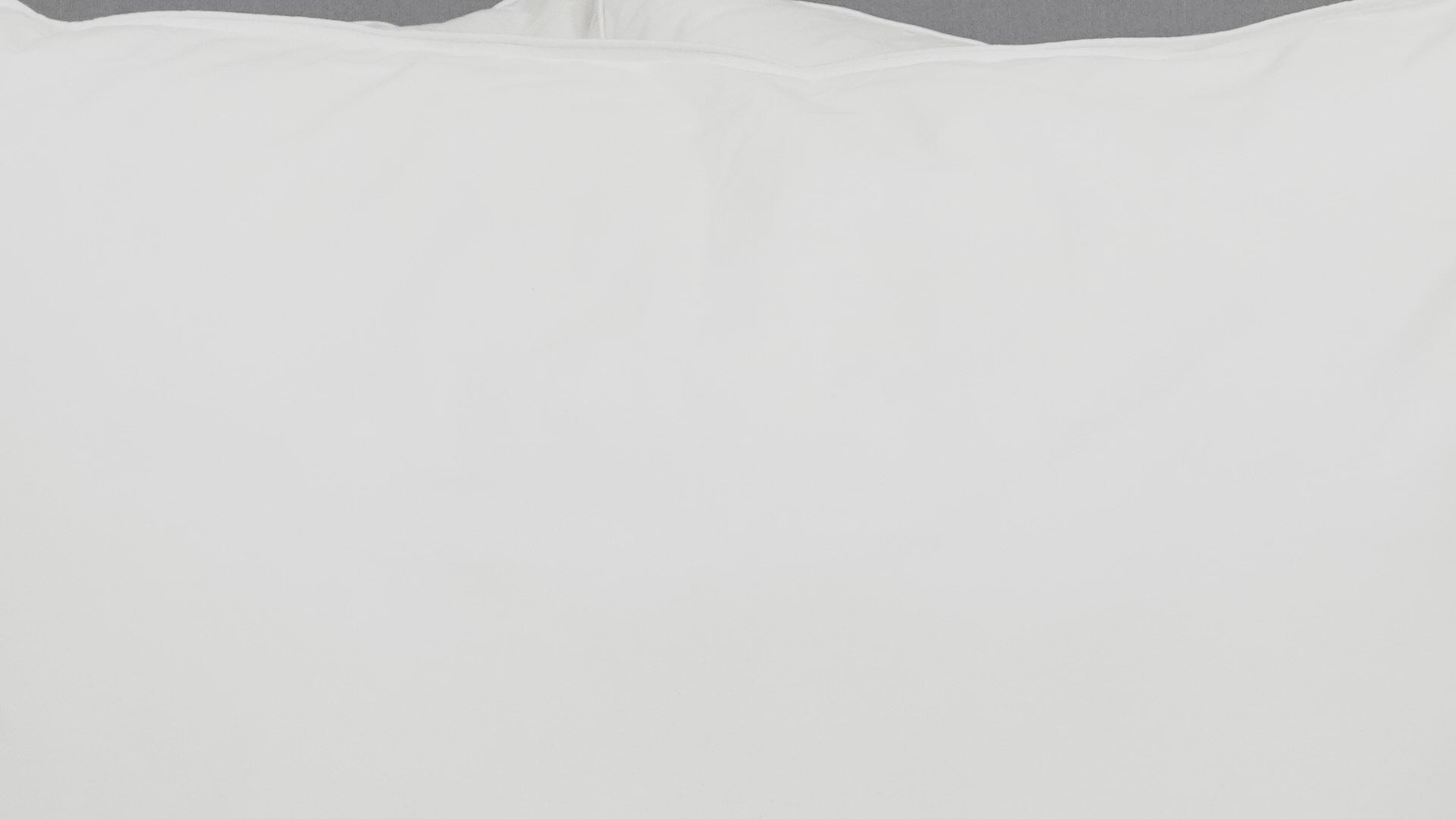 Pillowtex Green Tag Super Soft Pillow