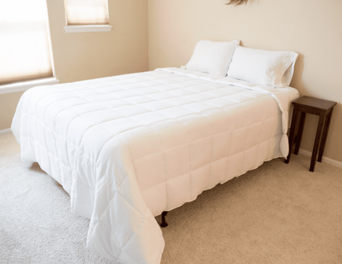 Pillowtex® Hotel Blanket